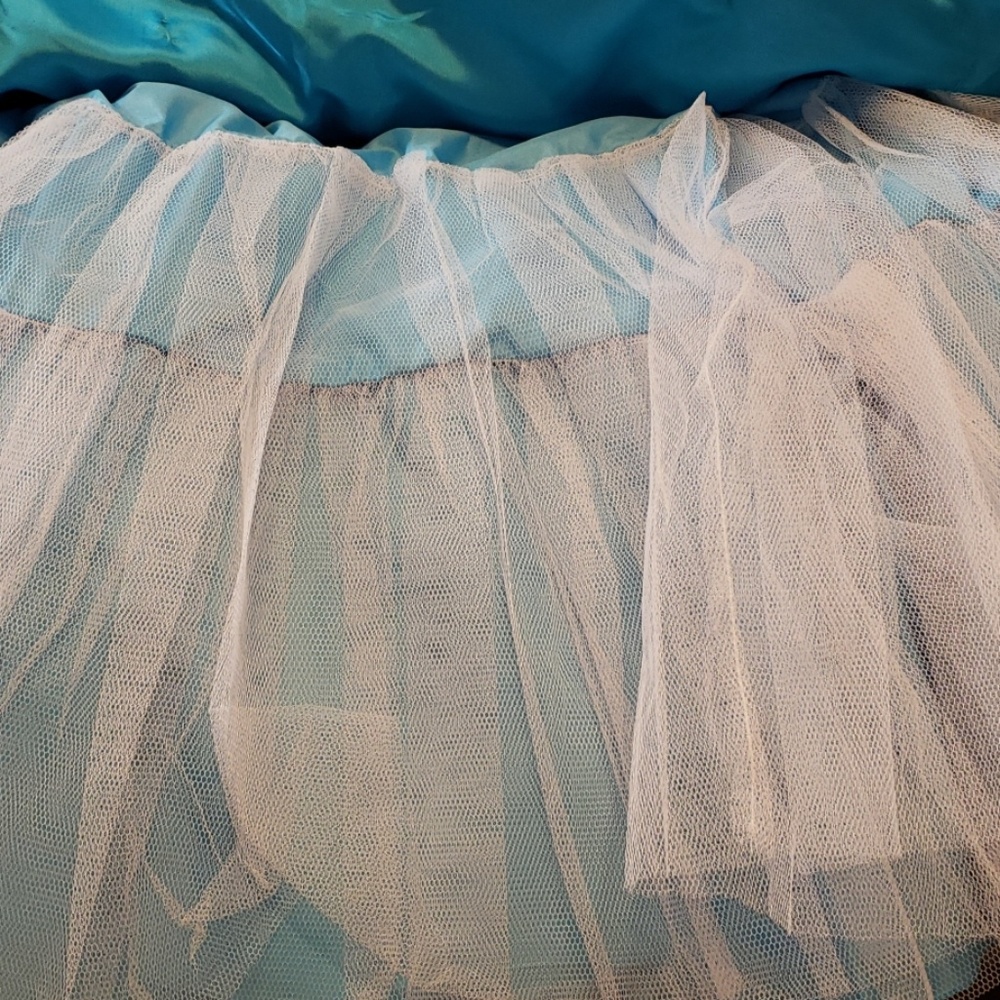 Prom - Pageant Dress - Picture 5 of 5